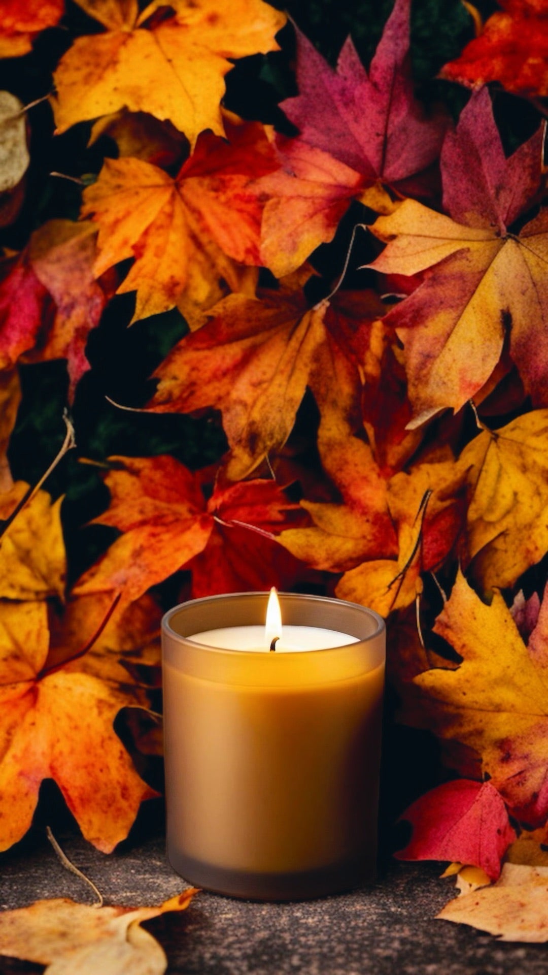 4oz Fall Candles - 4 Scents!-2