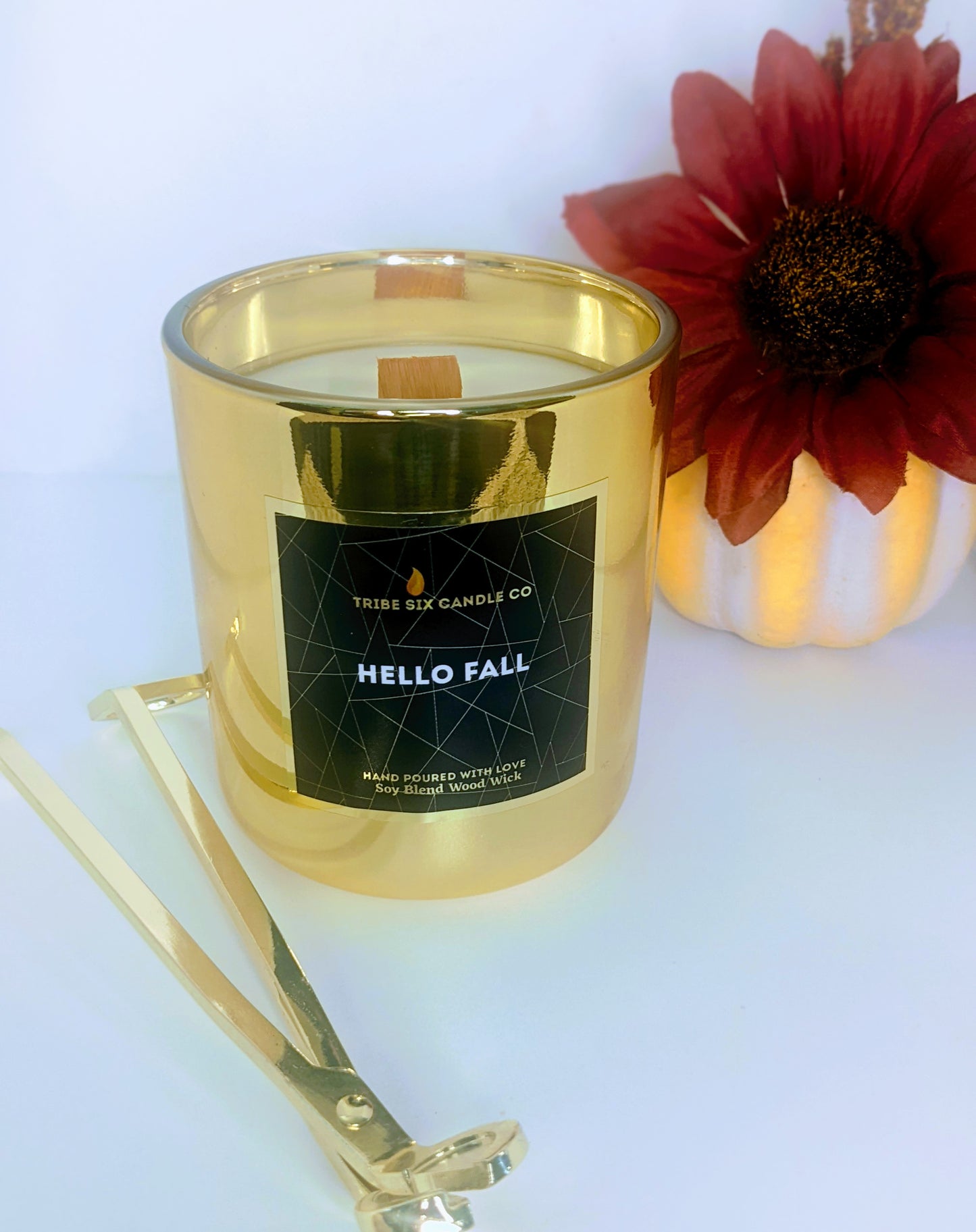 Hello Fall-2